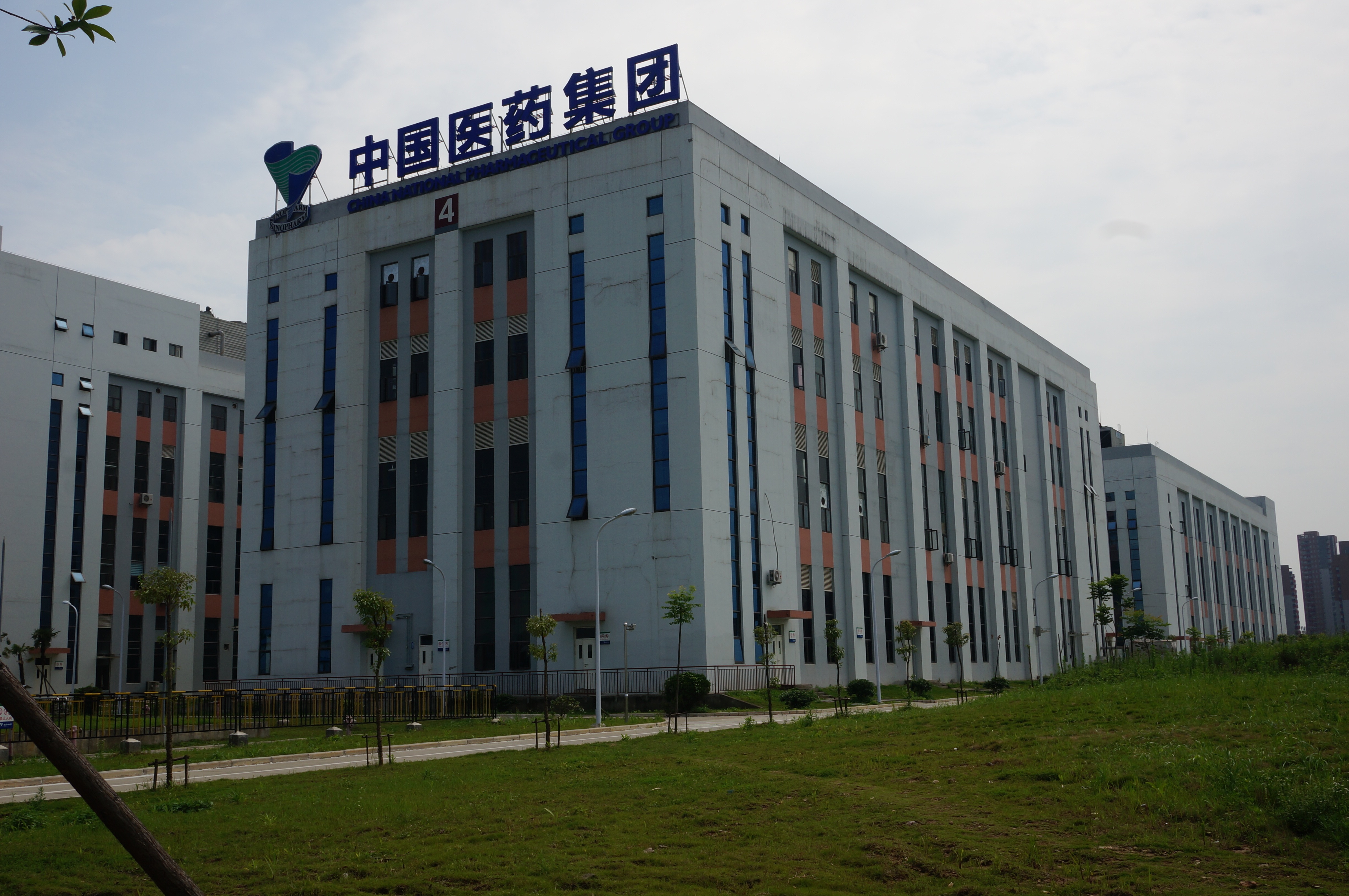 婦宝当帰膠の製造工場