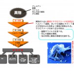 生理がないのに妊娠した?人間のカラダの神秘