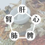 漢方(中医学)の五臓の働き